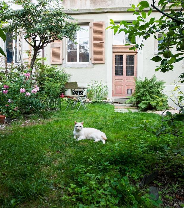 Gaestezimmer Plaenke 빌 외부 사진